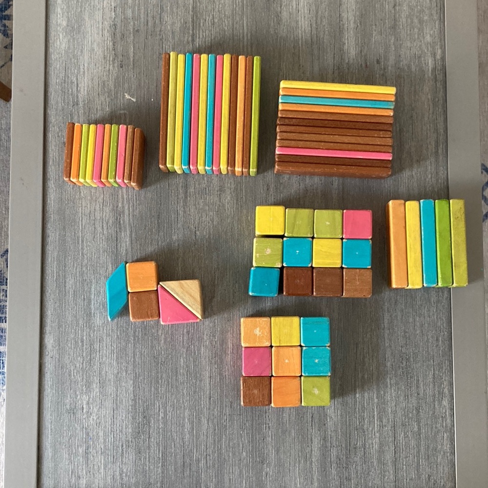 Tegu Magnetic Kids blocks